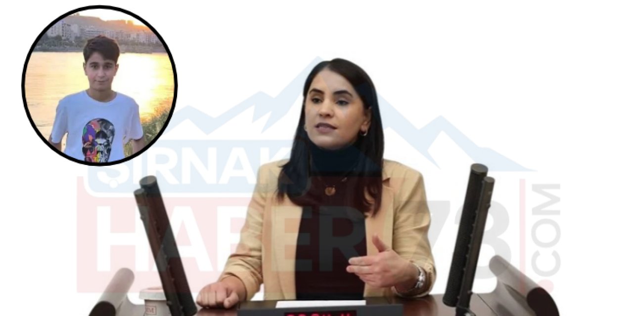 Miletvekili Uysal'dan 6 Gündür Kayıp Olan Şırnaklı Genç Açıklaması