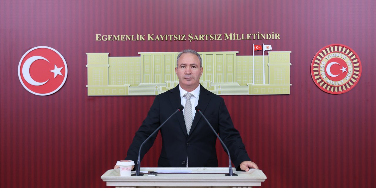 İrmez, Şırnak’ın Tapu, İstihdam Ve Elektrik Sorunlarını TBMM’de Gündeme Taşıdı