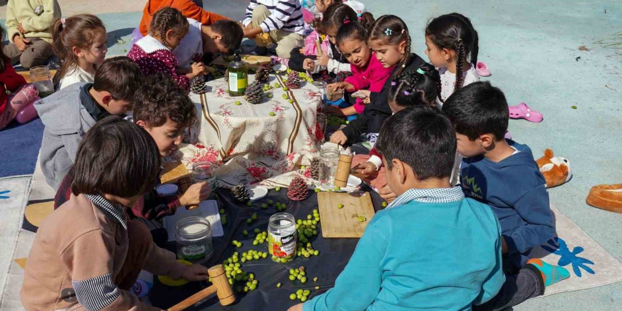 Çocuklar Zeytin Kırdı, Geleneksel Üretimle Tanıştı
