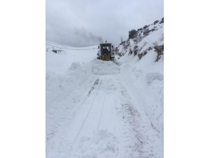 Şırnak'ta kar nedeniyle 12 köy ve 4 mezraya ulaşım sağlanamıyor