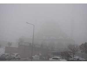 Şırnak'ta yoğun sis etkili oldu