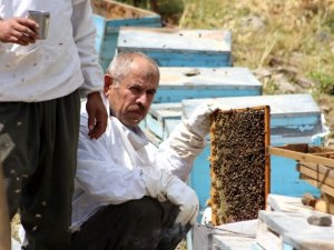 Şırnak'ta ilk bal hasadı Kel Mehmet Dağlarında yapıldı