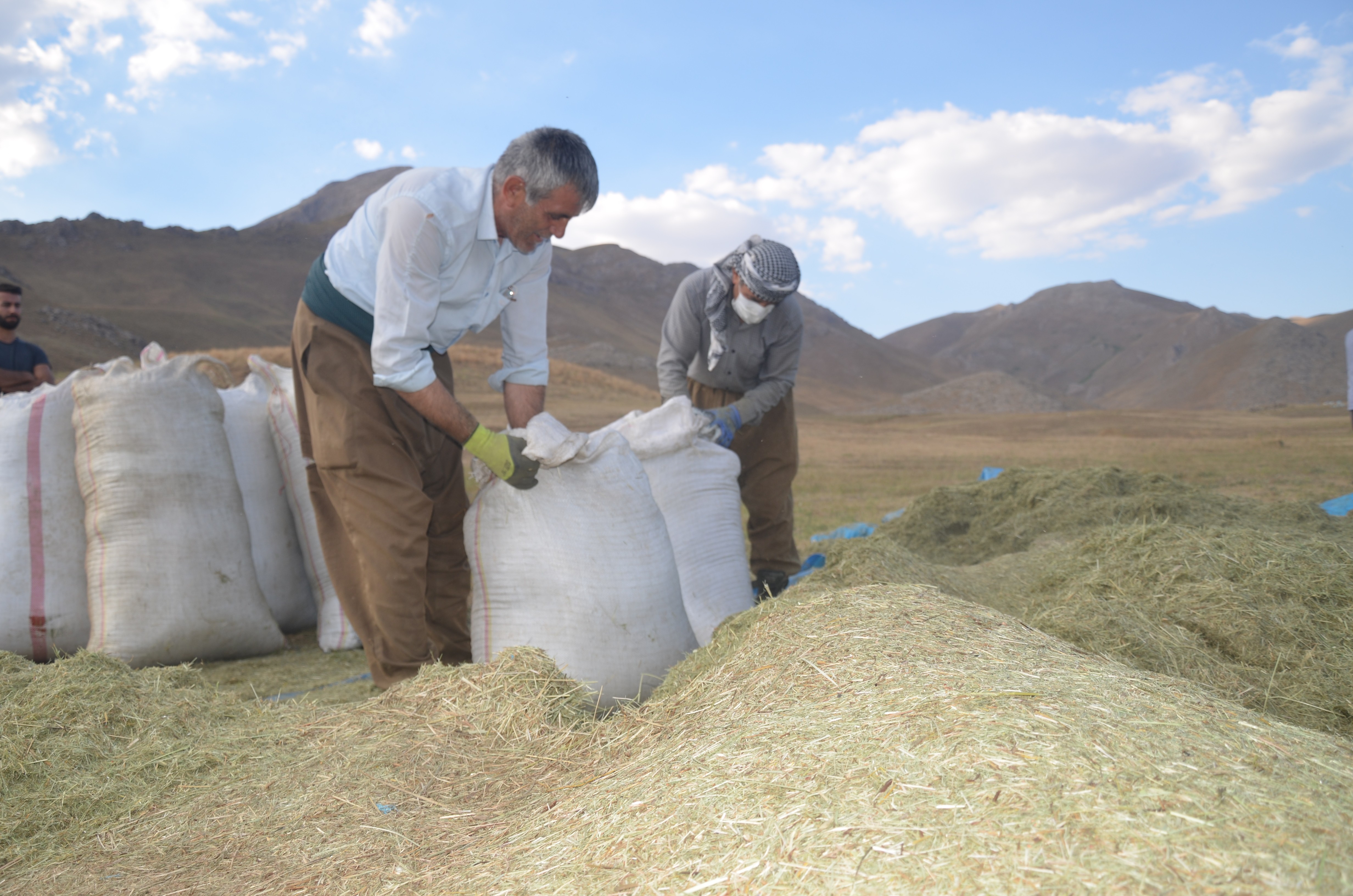 BESİCİLERİN YAYLALARDAKİ 5 AYLIK KIŞ HAZIRLIĞI SONA ERDİ
