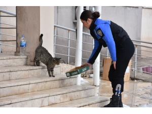 Şırnak'ta polisten sokak hayvanlarına mama desteği
