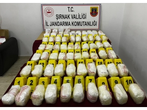 Şırnak'ta durdurulan tırda 33 kilogram uyuşturucu ele geçirildi