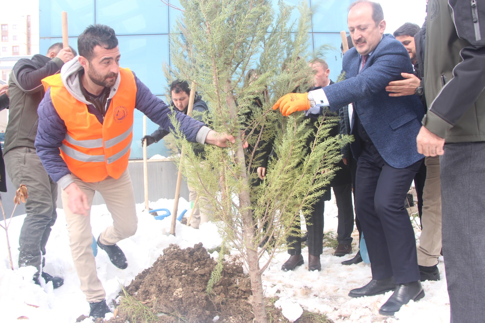 Şırnak'ta 21 Mart Dünya Ormancılık Günü dolayısıyla fidan dağıtıldı