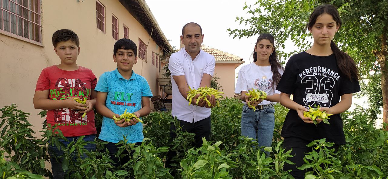 Okul bahçesinde yetiştirilen sebzeler ihtiyaç sahiplerine dağıtılıyor