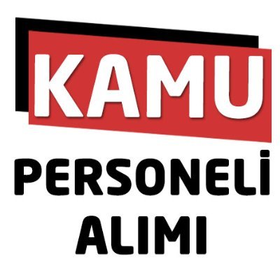 YSK 12 Sözleşmeli Bilişim Personeli alacak