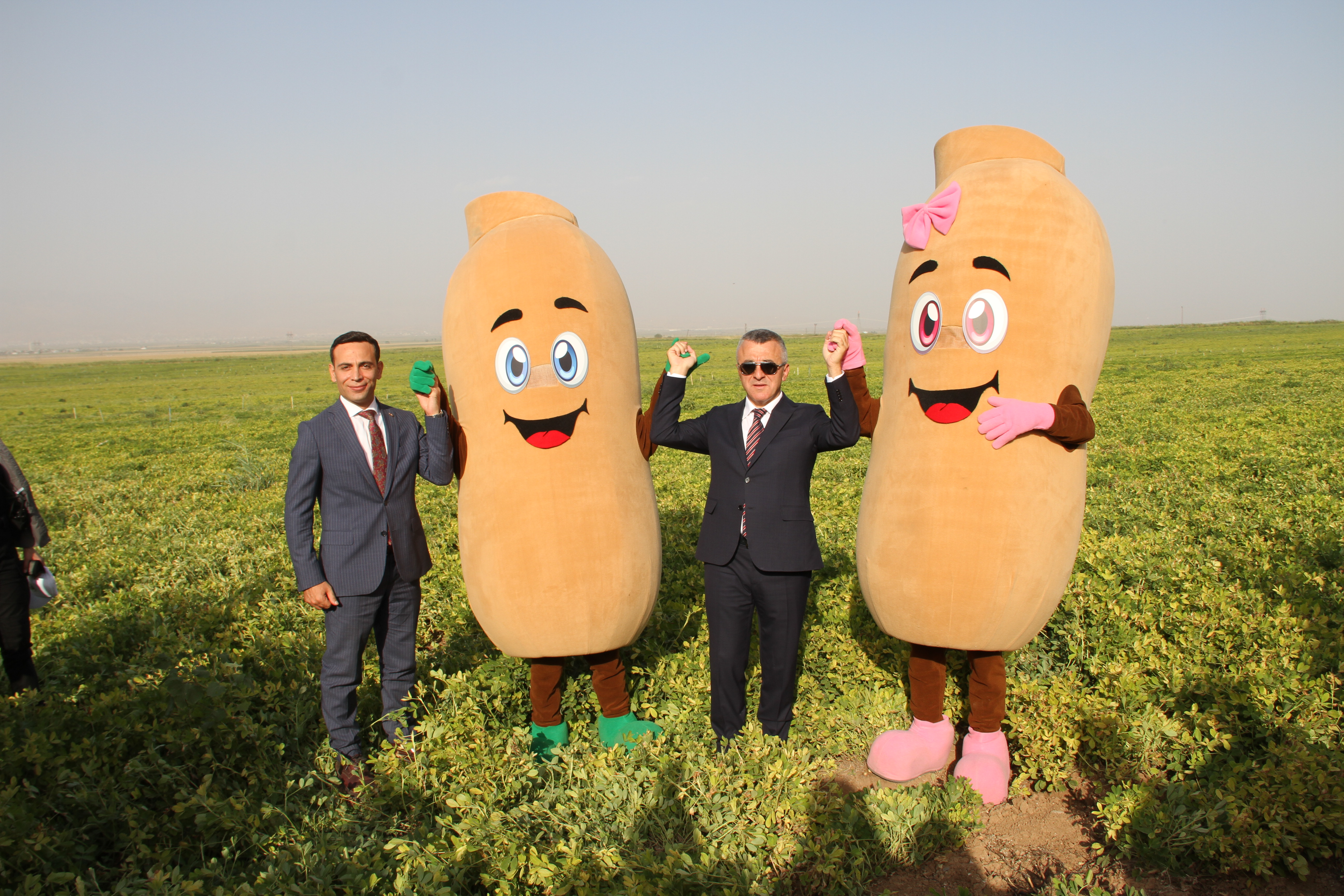 ŞIRNAK'TA YER FISTIĞI HASAT ŞENLİĞİ DÜZENLENDİ