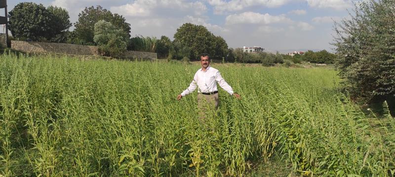 ’Dergul Tahini’ Coğrafi İşaret Tescili Başvuru Sürecini Tamamladı