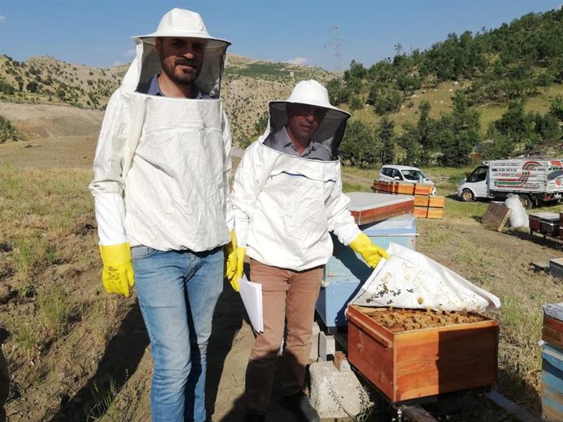 Şırnak’ta Uygulanan ‘2022 Yılı Uzman Eller Projeleri’ Tamamlandı