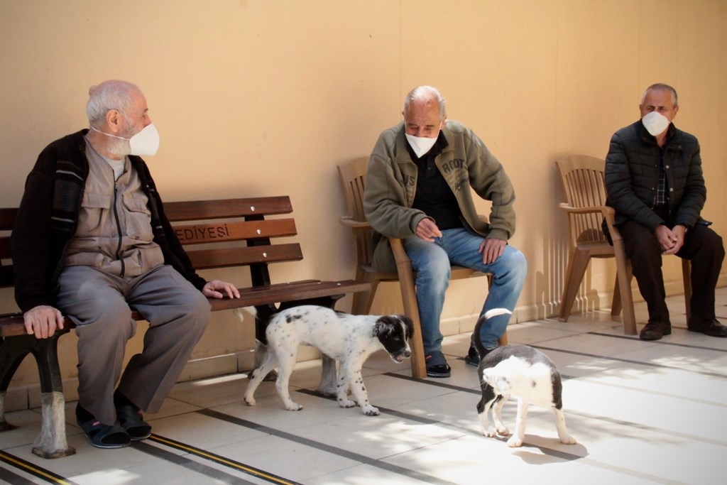 YAŞLI VE ENGELLİ AYLIKLARI İLE EVDE BAKIM ÖDEMELERİNİ HESAPLARINA YATIRIDI