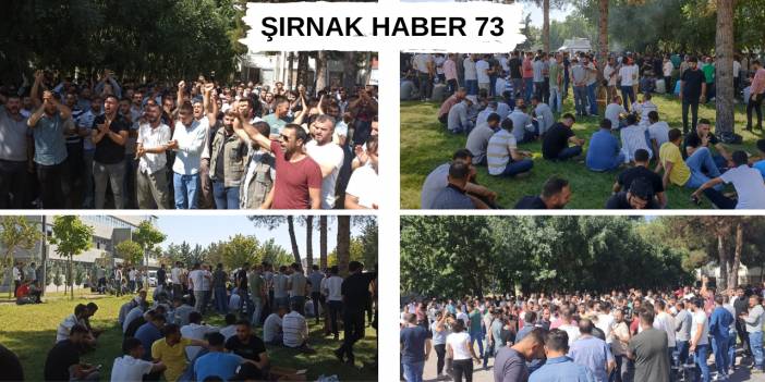 6 Bin DEDAŞ Personeli Greve Gitti