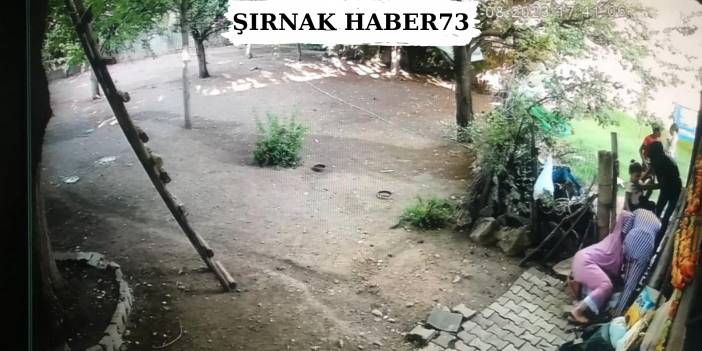 74 Yaşındaki Kadına Taş Ve Sopalarla Saldırdılar