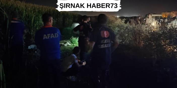 Mısır Tarlasında Erkek Cesedi Bulundu