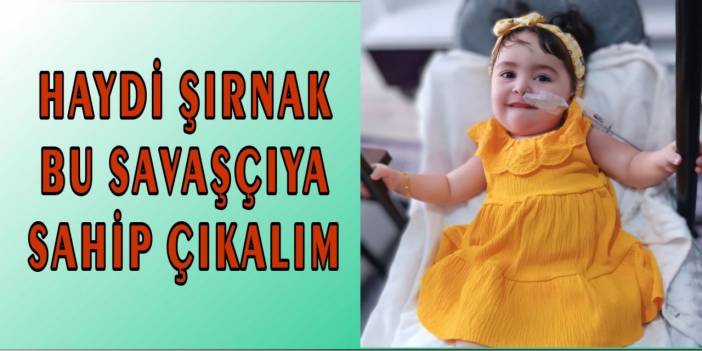 Haydi Şırnak Bu Savaşçıya Sahip çıkalım