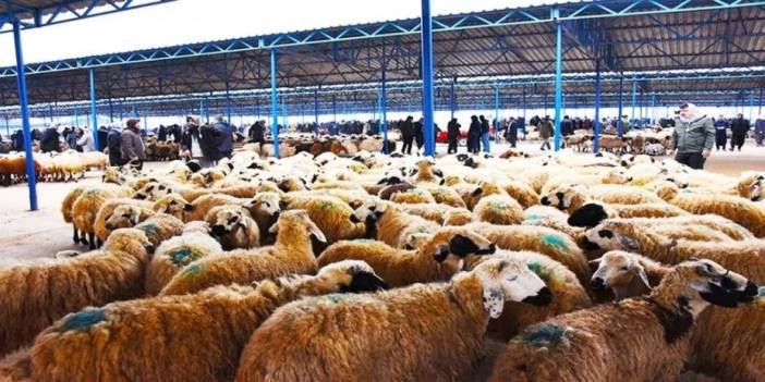 Şırnak'ta kurban satış yeri belli oldu!