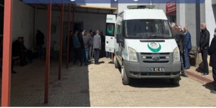 Almanya'dan Şırnak'a Gelen Doktor, Elim Kaza Sonucu Hayatını Kaybetti