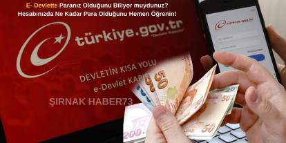 Süresi dolmadan kontrol edin: e-Devlet’te adınıza birikmiş binlerce lira olabilir