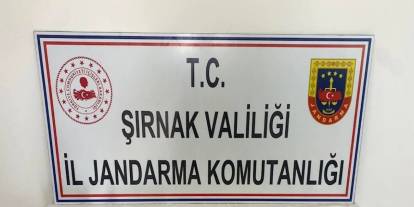 Şırnak'ta Kaçakçılık Ve Asayiş Operasyonlarında 125 Şüpheliye Adli İşlem Uygulandı