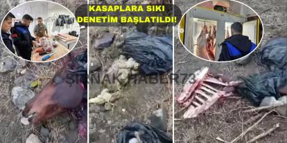 Kesilmiş At Başı ve İç Organlarının Bulunduğu Cizre'de Kasaplara Sıkı Denetim!