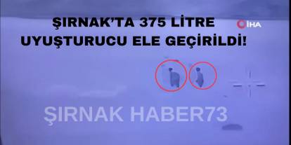 Şırnak'ta Dev Operasyon: 2 Kişi Toprağa Uyuşturucu Gömerken Yakalandı: O Anlar Kamerada