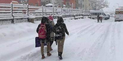 Hakkari ve ilçelerinde okullar tatil edildi