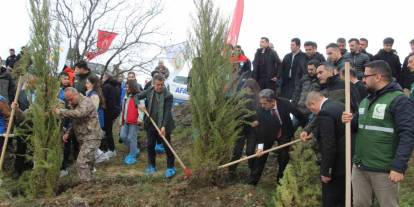 Şırnak Yeşilleniyor: Dünya Ormancılık Günü'nde Binlerce Fidan Toprakla Buluştu