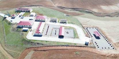 Siir'te Sokak Hayvanları İçin 50 Bin Metre Karelik Yaşam Alanı YApıldı