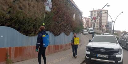 Şırnak Belediyesi’nden Haşerelere Karşı İlaçlama