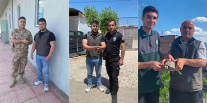 Şırnak'ta yaralı halde bulunan 3 yabani hayvan koruma altına alındı