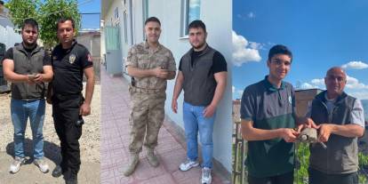 Şırnak’ta Yaban Hayvanları Tedavi Altına Alındı