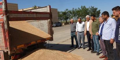 Mardin'de yılın ilk buğdayı satıldı: İşte ton fiyatı