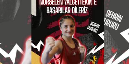 Şırnaklı Boksor Polonya’da Adını Finale Yazdırdı