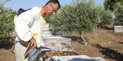 Doktorun annesine bal tavsiyesi hayatını değiştirdi