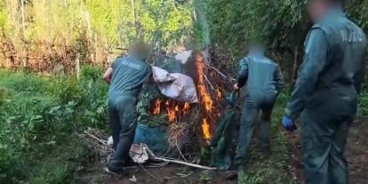 Hevsel Bahçesi'ni UYuşturucu Tarlasına Çevirmişler!  2 Milyar TL'lik Uyuşturucu Madde Ele Geçirildi