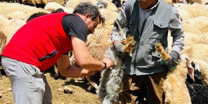 Hakkari'de hastalık ortaya çıkması ile aşılama çalışmaları başlatıldı