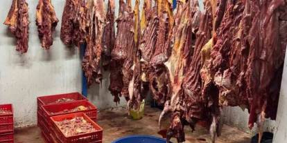 İnsanlara At Eti Yedireceklerdi! Yakalandılar: 3 Ton Bozulmuş Et Ele Geçirildi