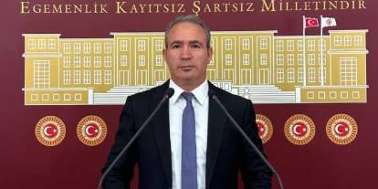 Milletvekili İrmez: Şırnak ve ilçelerinde 30 yerde ağaç kesimleri sürüyor