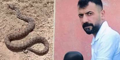 Diyarbakır'da yılanın ısırdığı çoban hayatını kaybetti