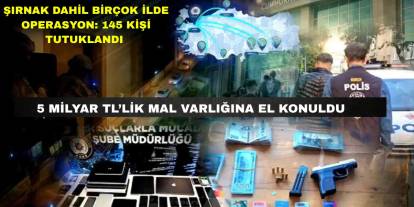 Şırnak, Diyarbakır, Mardin, Hakkari ve Şanlıurfa'da Dolandırıcılık Operasyonu: 145 Kişi Tutuklandı