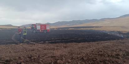 Siirt’te düşen yıldırım, biçilmemiş buğday tarlasını küle çevirdi
