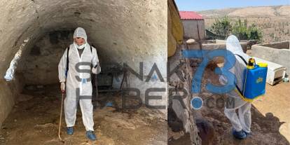 Şırnaklılar Dikkat! O Bölgede ‘ŞAP’ Hastalığı Çıktı! Tedbir Amaçlı Hayvan Giriş Çıkışları Yasaklandı