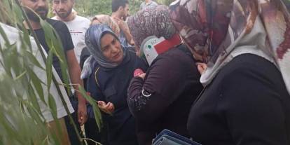 Siirt'te devrilen ağacın altında kalan 2 kişi yaralandı