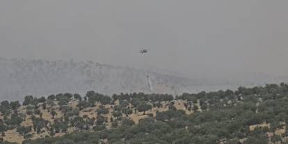 Mardin’de Çıkan Orman Yangını Kontrol Altına Alındı