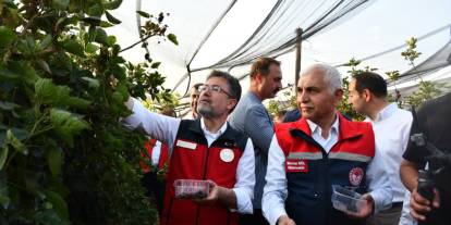 Bakan Yumaklı, Siirt'te böğürtlen hasadına katıldı: "4 ayda 427 ton ihracat  var"