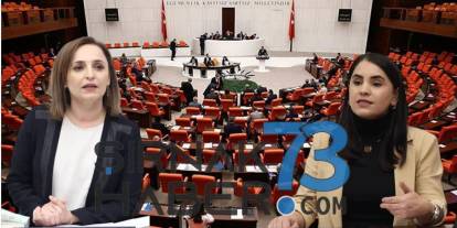 TBMM Komisyonlarındaki Görev Dağılımı Belli Oldu! Şırnak’tan O Vekiller Listede Yer Aldı