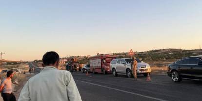 Diyarbakır’da karşıya geçmeye çalışan çifte otomobil çarptı: 1 kişi öldü, 1 yaralı