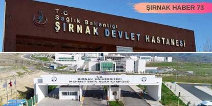 Şırnak Üniversitesi ve Devlet Hastanesi'nden Dünya Çapında Başarı!