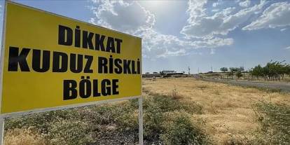 Siirt'te bir köyde kuduz vakasına rastlandı